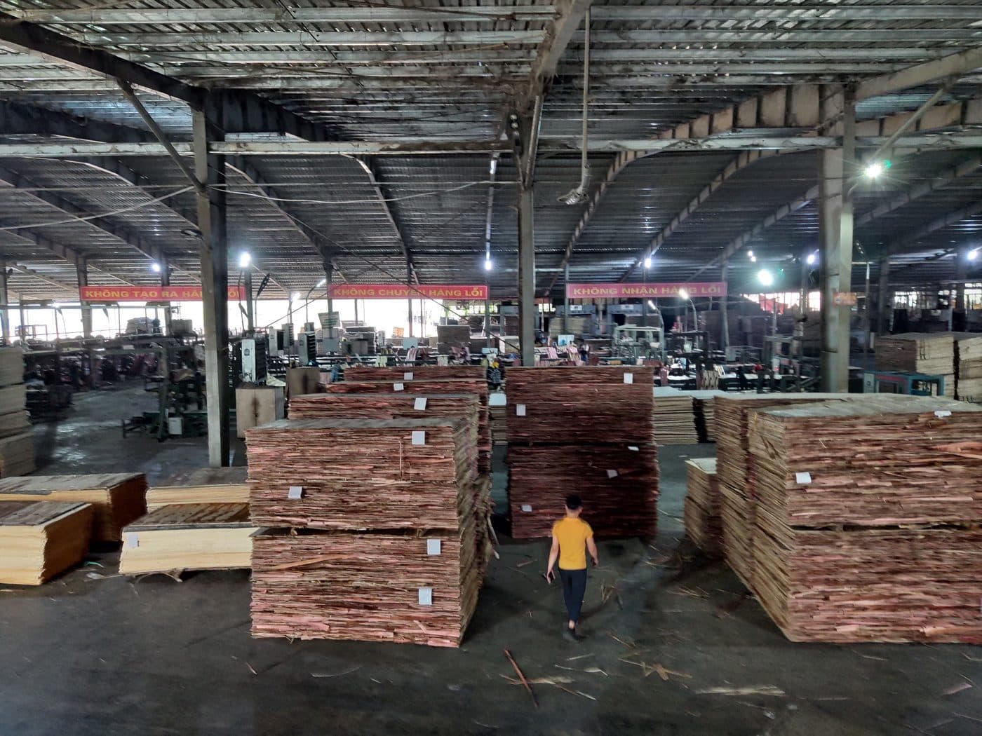 LELOI plywood factory in Vietnam — production line 1
