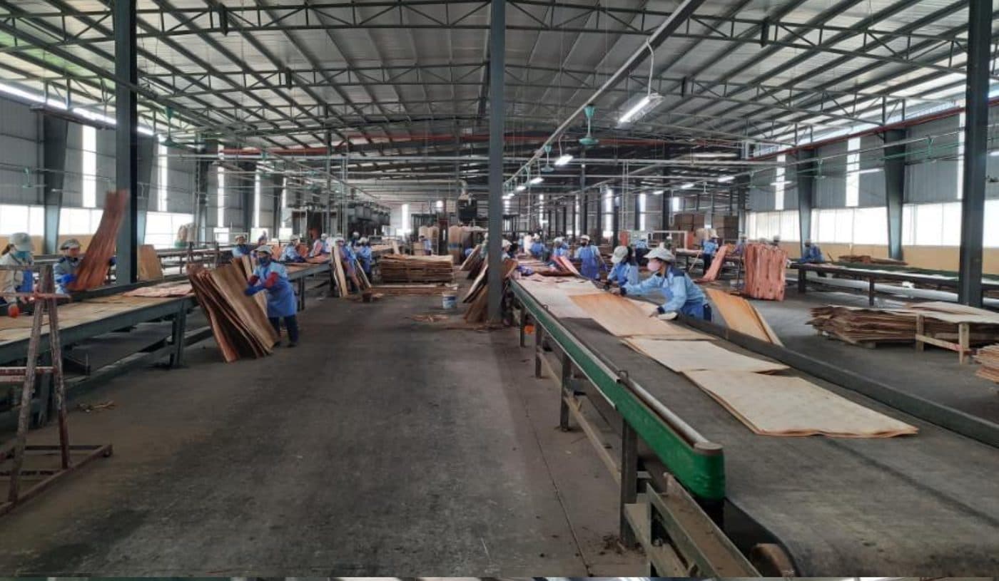 LELOI plywood factory in Vietnam — production line 2