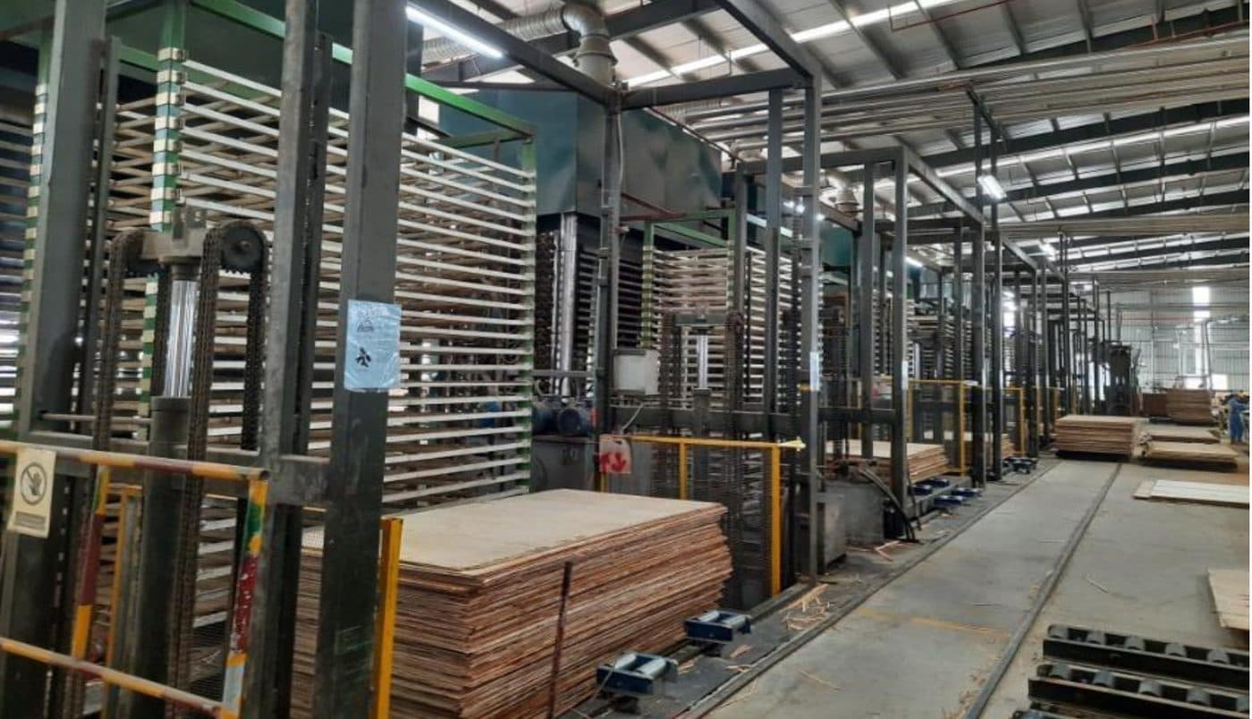 LELOI plywood factory in Vietnam — production line 4
