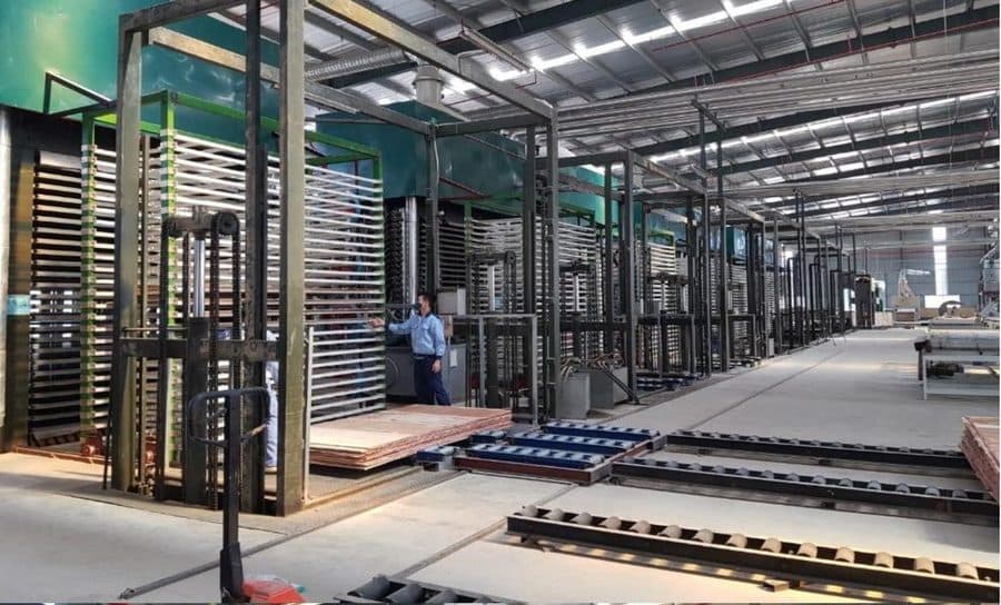 LELOI plywood factory in Vietnam — production line 5