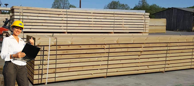 North America: Supply-demand balance achieved as lumber prices seem to hit bottom