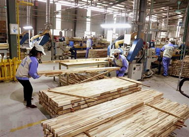 Vietnam confident of reaching US$14.5 billion in wood and wood product exports this year
