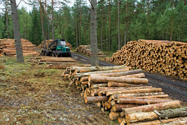 Lumber prices head higher in US