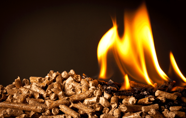 Netherlands and Japan increased their market shares of globally traded wood pellets