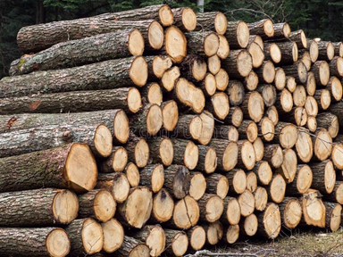 Business climate in the German wood industry slightly clouded