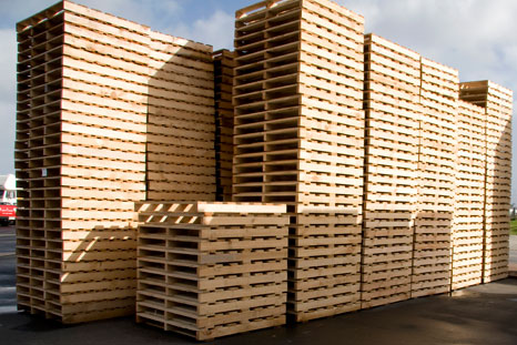 pallet-go-4