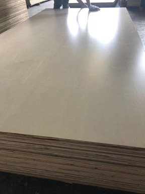 Birch faced Plywood