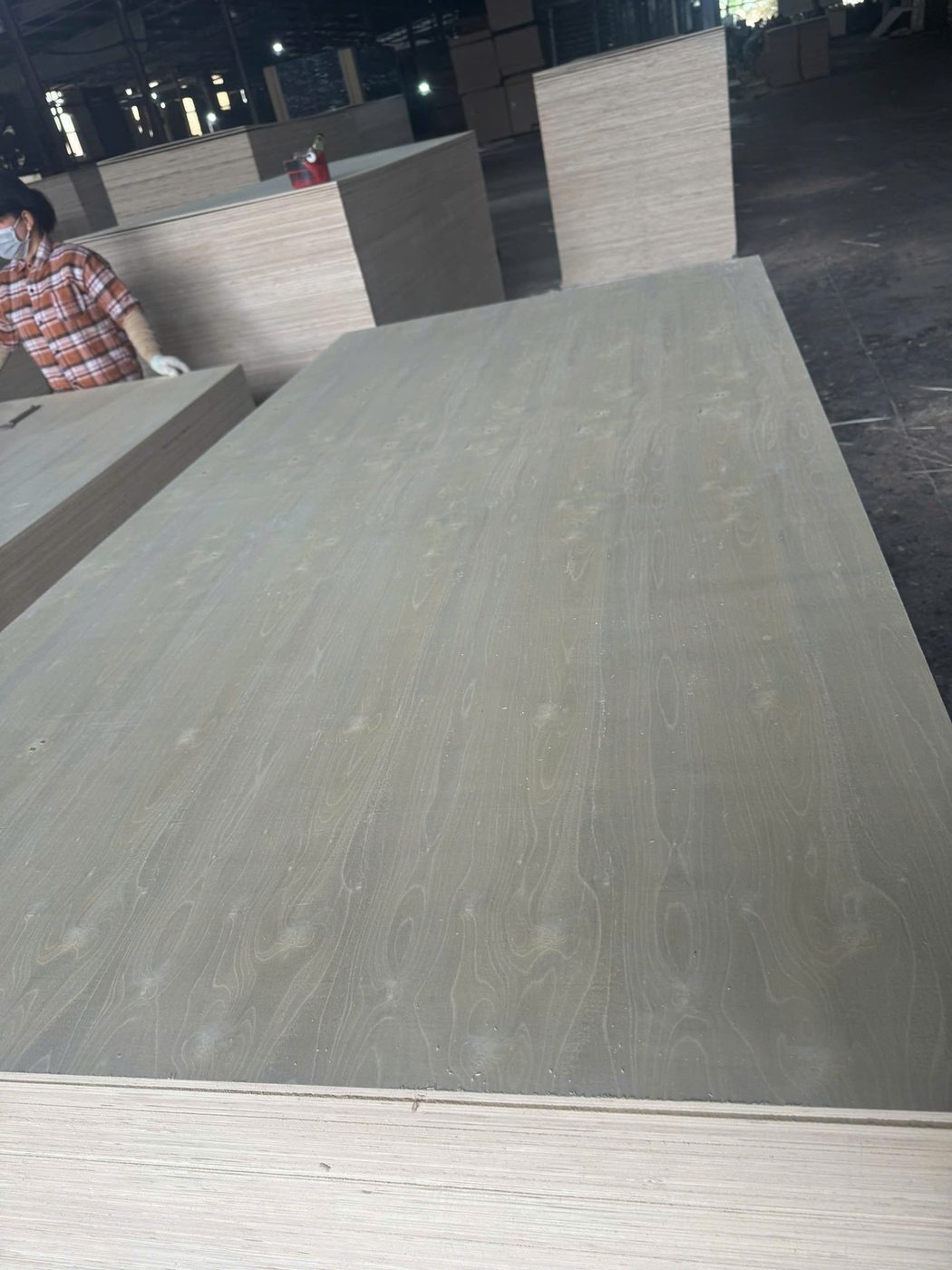 Commercial Plywood — Vietnam factory-direct supplier LELOI