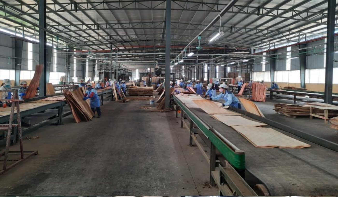Packing Plywood & Pallets production at LELOI factory Vietnam
