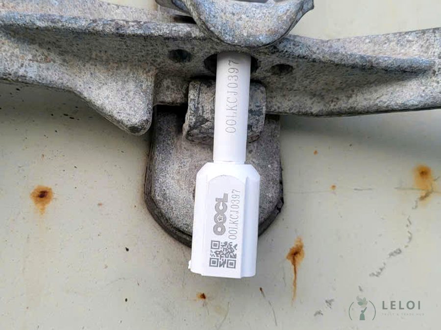 Loading & sealing — LELOI primed moulding, Vietnam 3